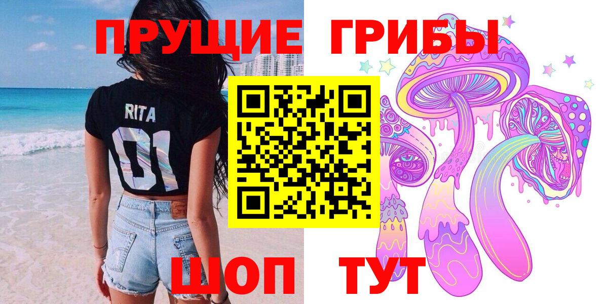 Псилоцибиновые грибы Psilocybine cubensis Ливны